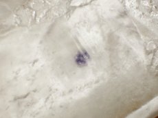 画像2: フローライト入り水晶Ｃ (2)