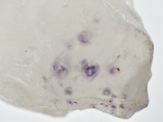 画像5: フローライト入り水晶Ｂ (5)