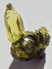 画像5: ジンカイトＤ (5)