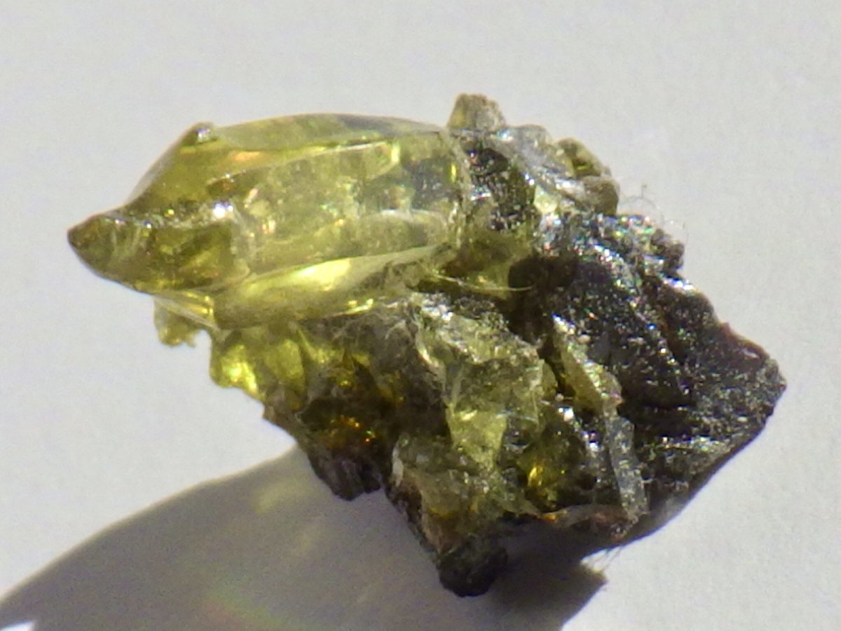 画像4: ジンカイトＤ (4)