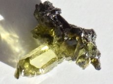 画像3: ジンカイトＤ (3)