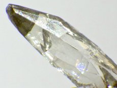 画像1: ジンカイトＦ (1)