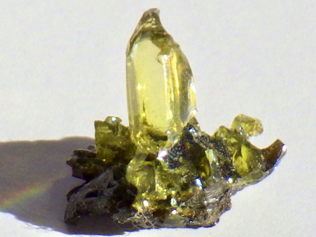 画像1: ジンカイトＤ (1)