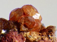 画像5: 中国産スペサルティンガーネットＦ (5)