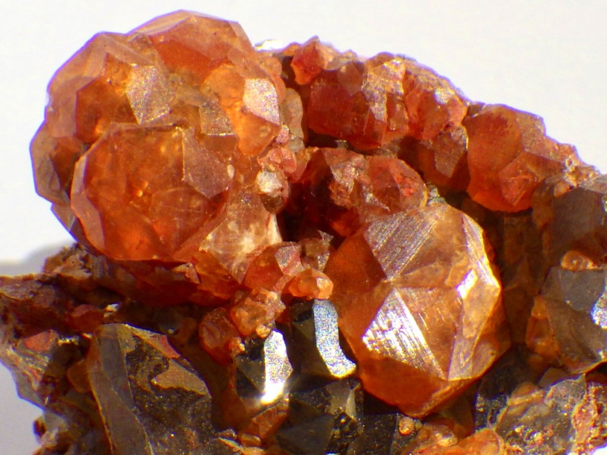 画像2: 中国産スペサルティンガーネットＦ (2)