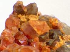 画像3: 中国産スペサルティンガーネットＦ (3)