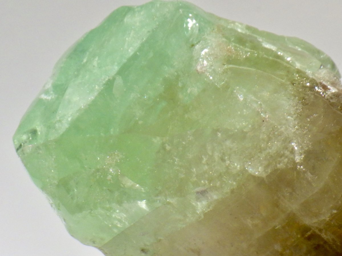 画像5: グリーンカルサイトＥ (5)