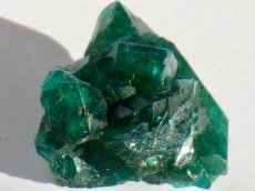 画像3: コンゴ産ダイオプテーズＣ (3)