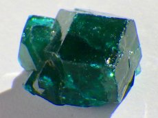 画像3: コンゴ産ダイオプテーズＤ (3)