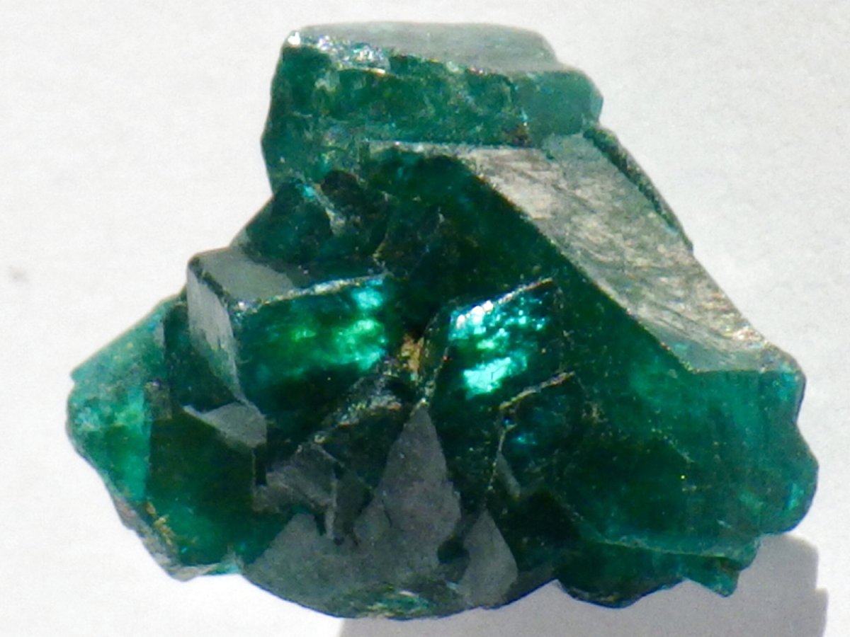 画像1: コンゴ産ダイオプテーズＣ (1)