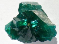 画像1: コンゴ産ダイオプテーズＣ (1)