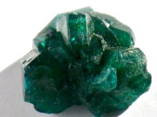 画像4: コンゴ産ダイオプテーズＣ (4)