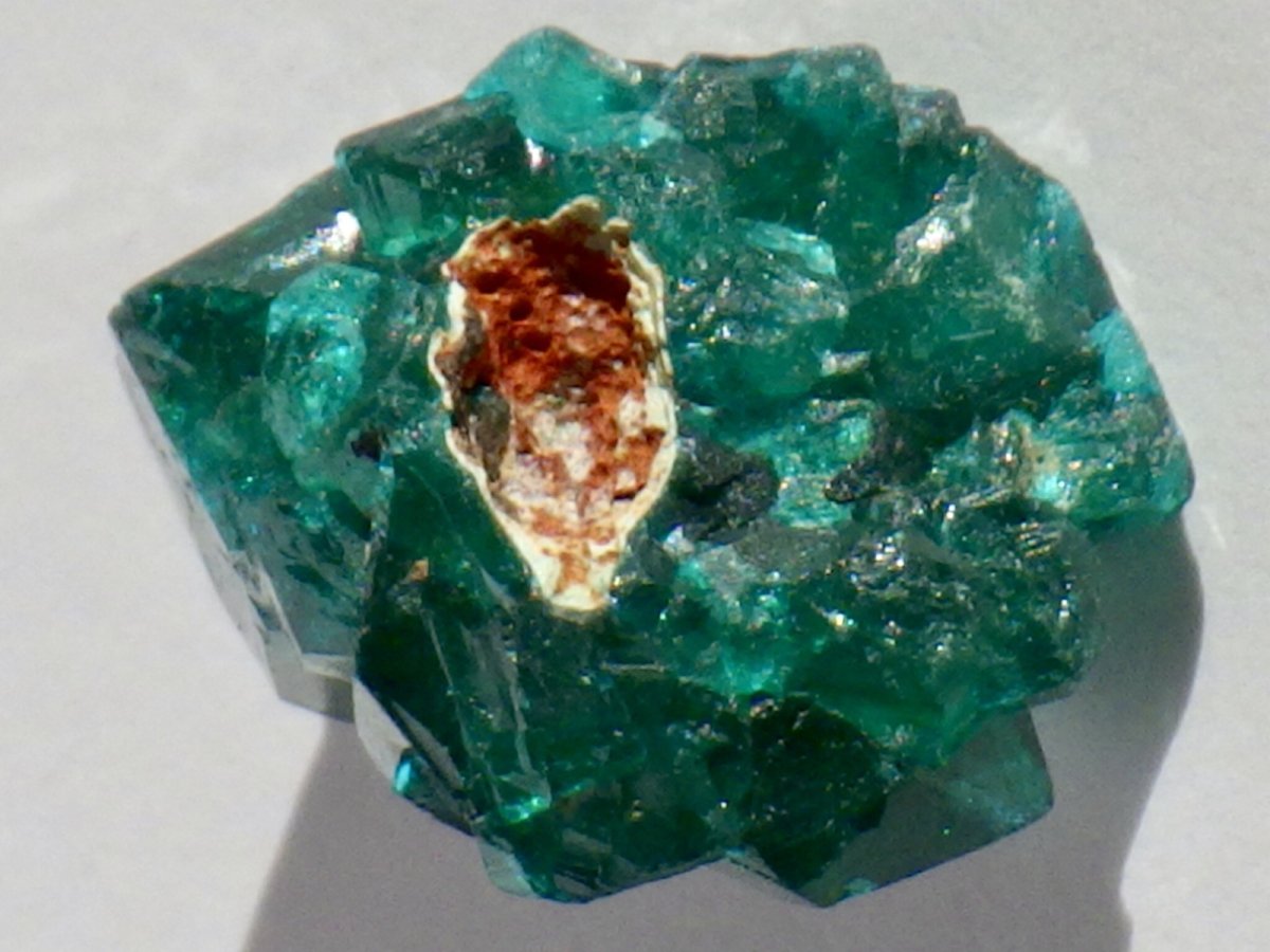 画像6: コンゴ産ダイオプテーズＤ (6)