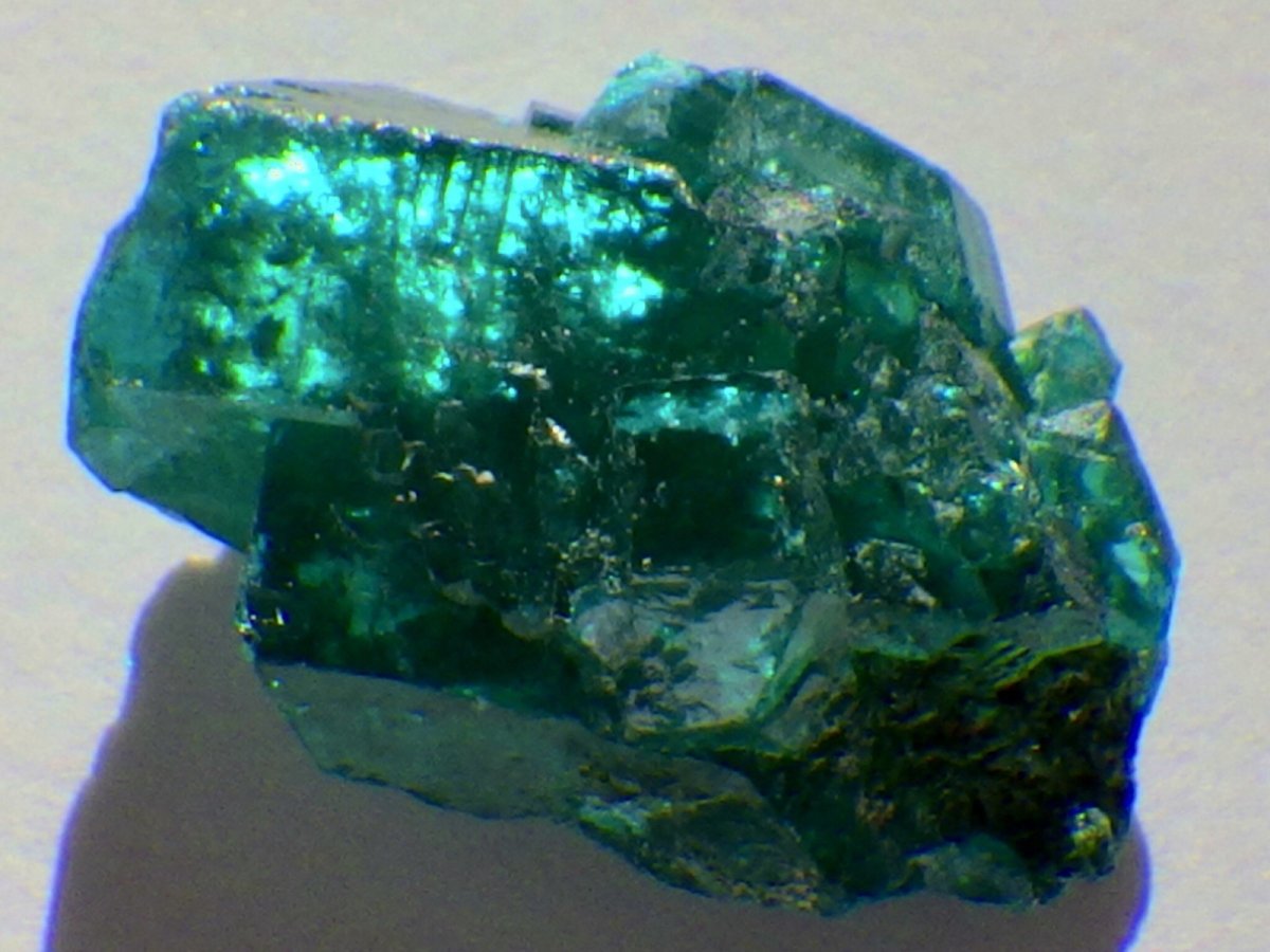 画像1: コンゴ産ダイオプテーズＡ (1)