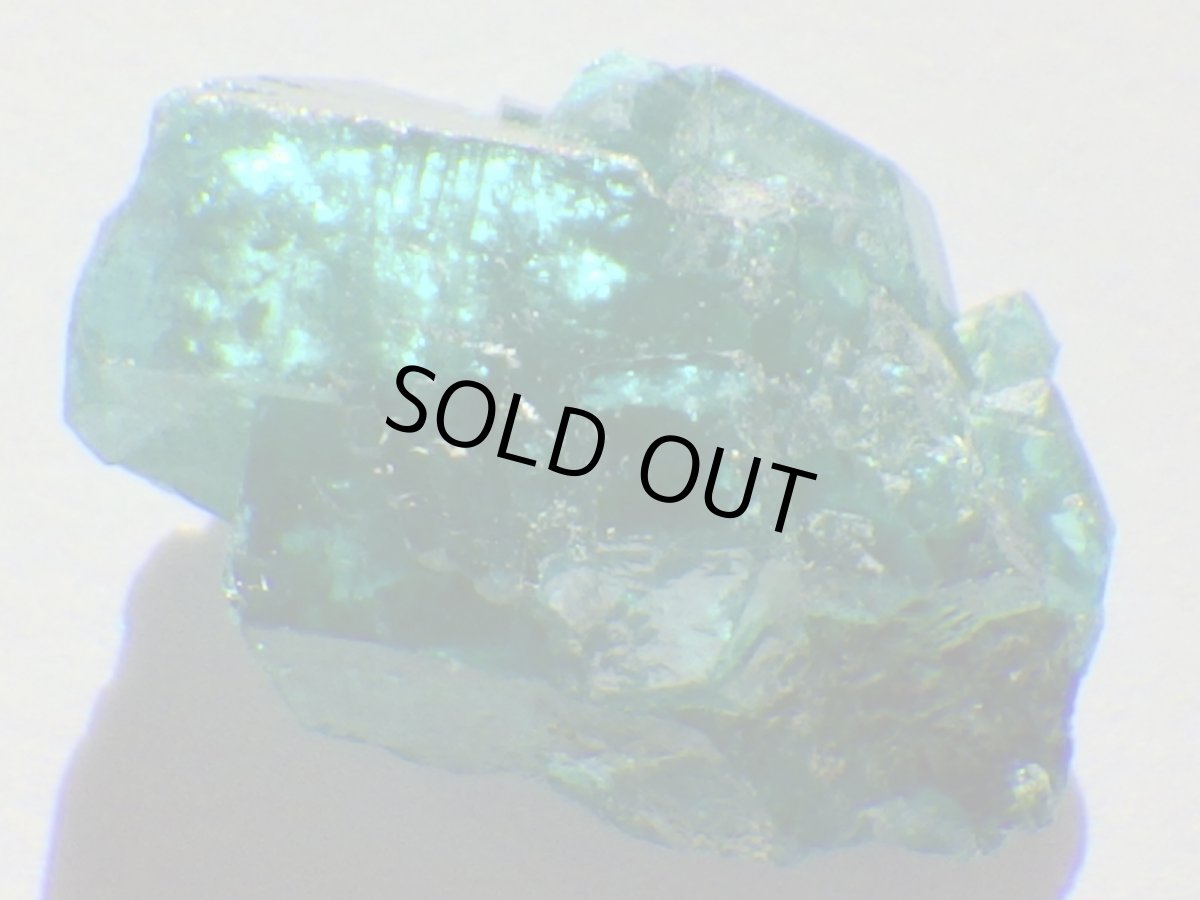 画像1: コンゴ産ダイオプテーズＡ (1)