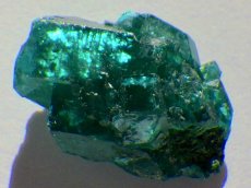 画像1: コンゴ産ダイオプテーズＡ (1)