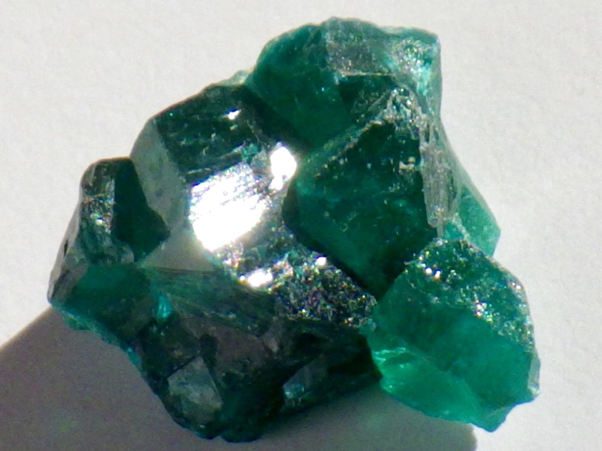 画像1: コンゴ産ダイオプテーズＢ (1)