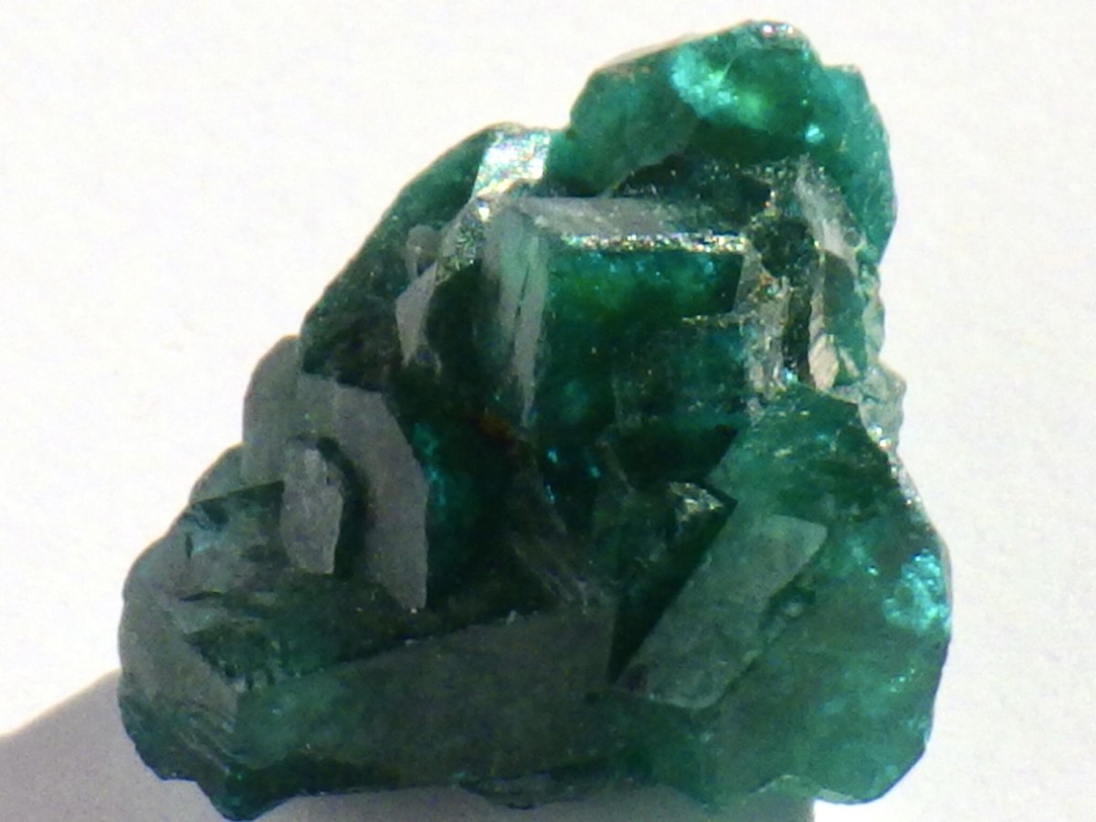 画像5: コンゴ産ダイオプテーズＣ (5)