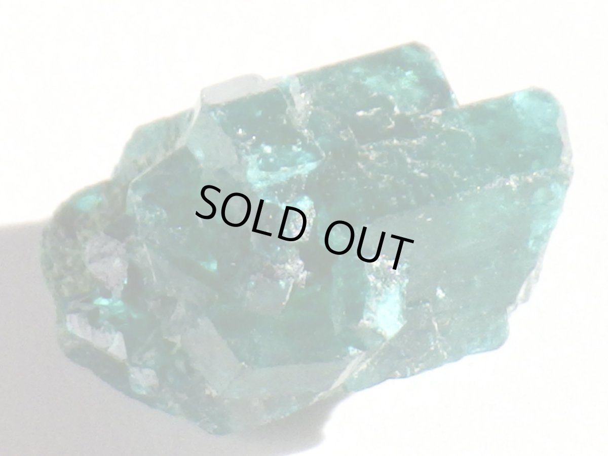 画像3: コンゴ産ダイオプテーズＡ (3)