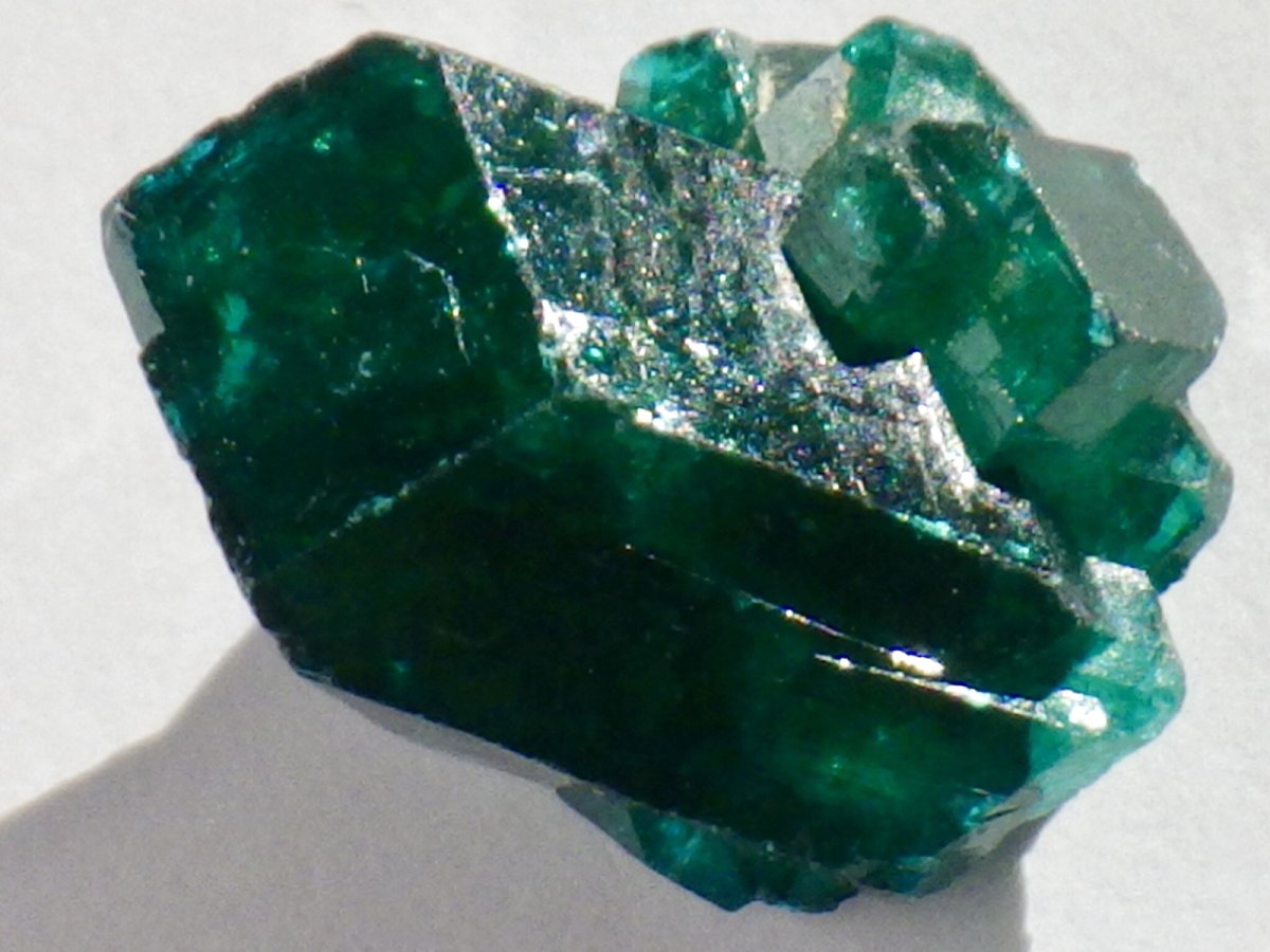 画像1: コンゴ産ダイオプテーズＤ (1)