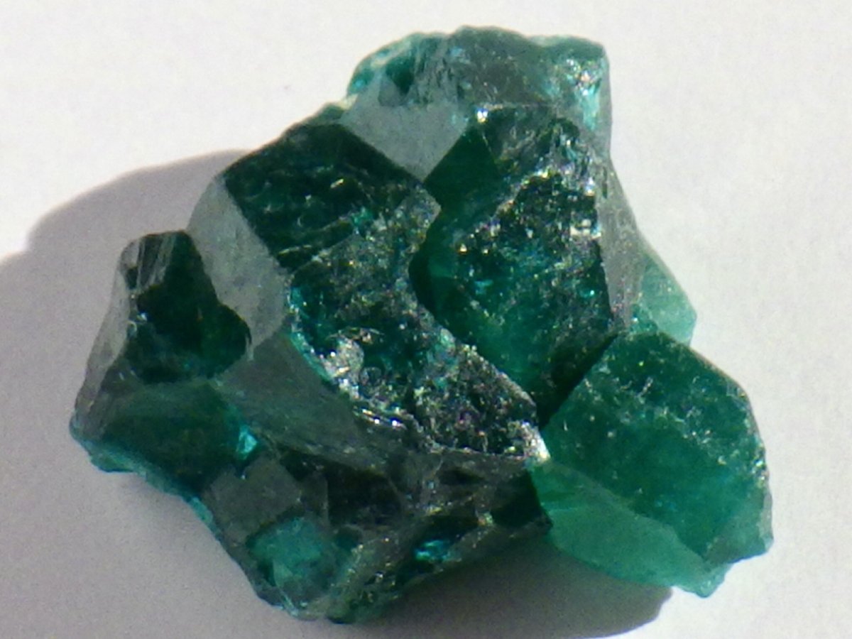 画像4: コンゴ産ダイオプテーズＢ (4)