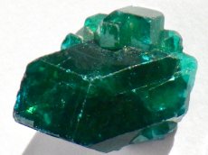 画像5: コンゴ産ダイオプテーズＤ (5)