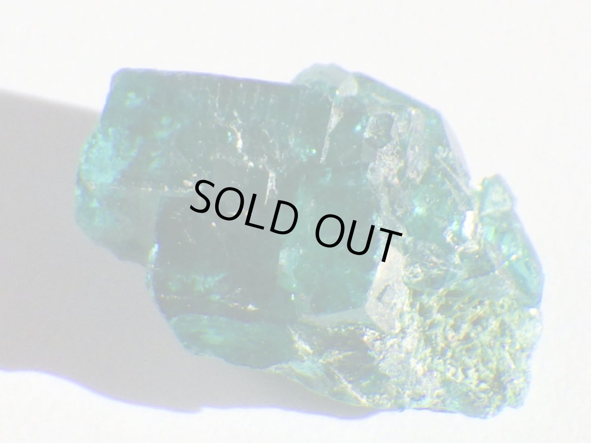 画像2: コンゴ産ダイオプテーズＡ (2)