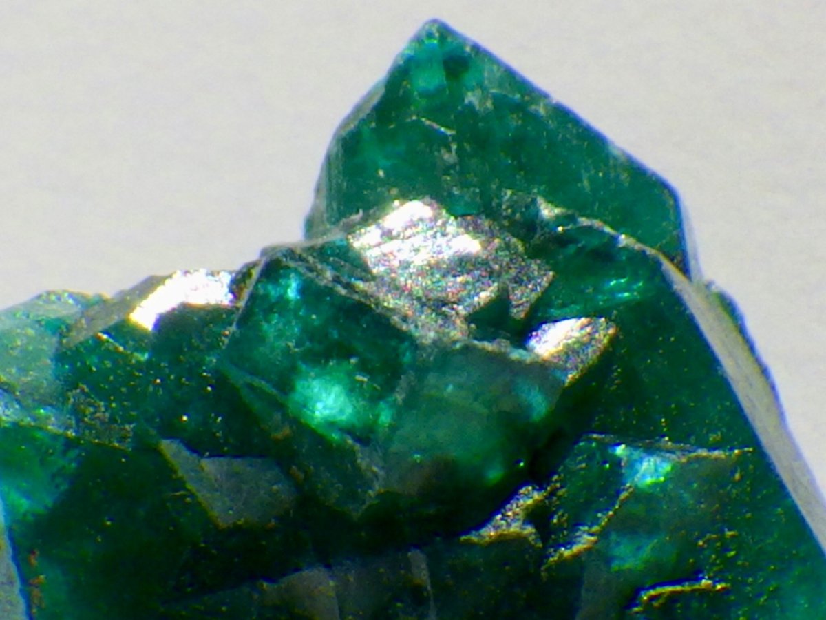 画像2: コンゴ産ダイオプテーズＣ (2)