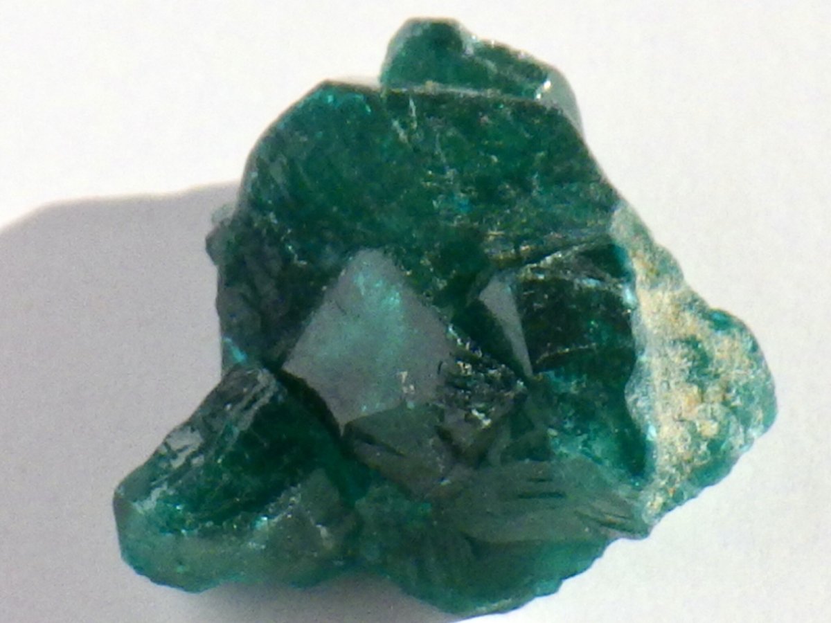 画像3: コンゴ産ダイオプテーズＢ (3)