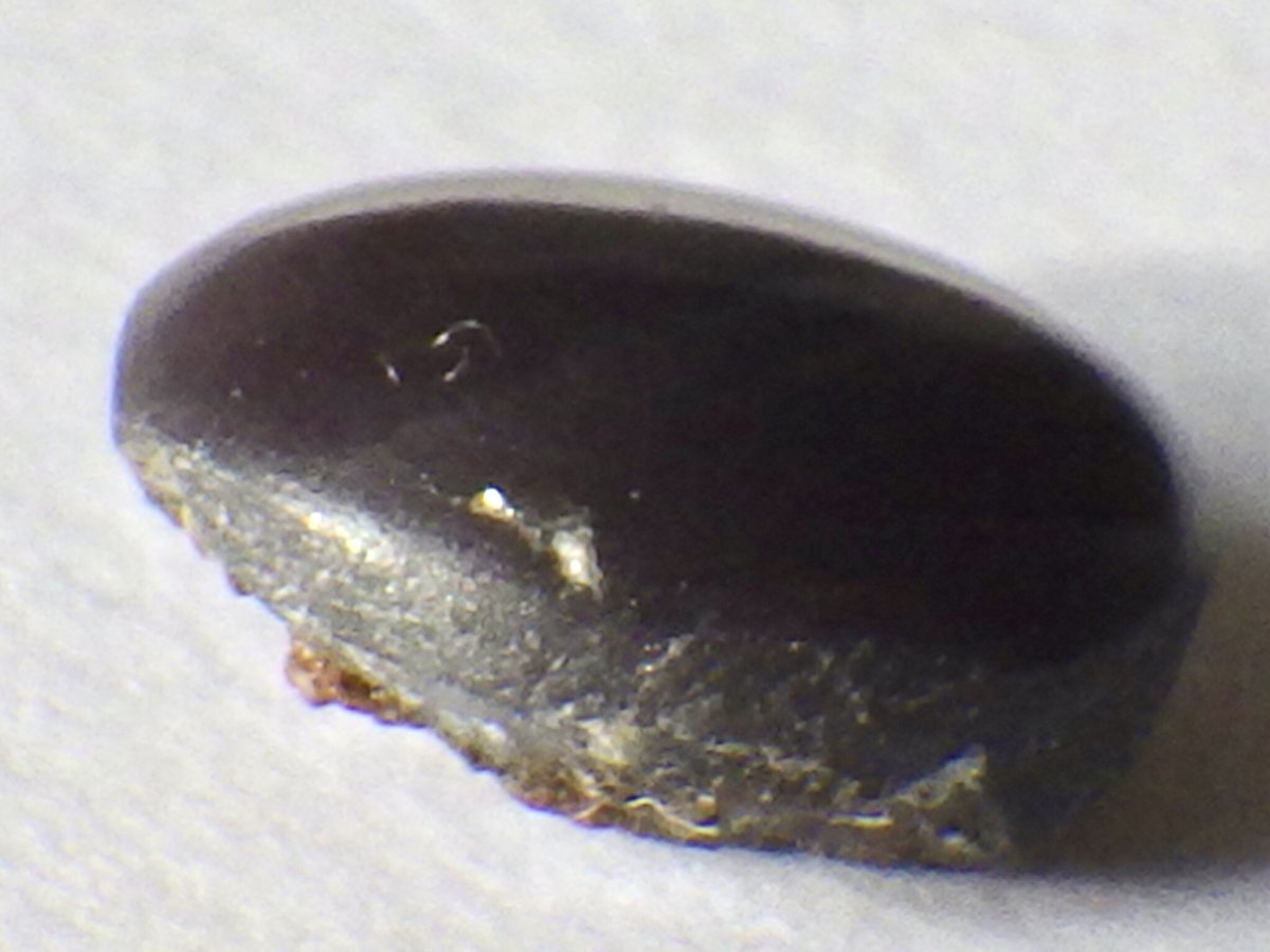 画像3: スリランカ産スタースピネルカボッションＤ　1.1ct (3)