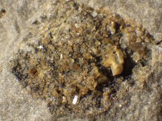 画像10: 母岩付ハーキマークォーツＣ (10)