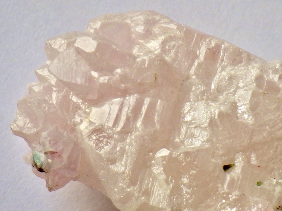 画像4: ブラジル産紅水晶／電気石Ｇ (4)