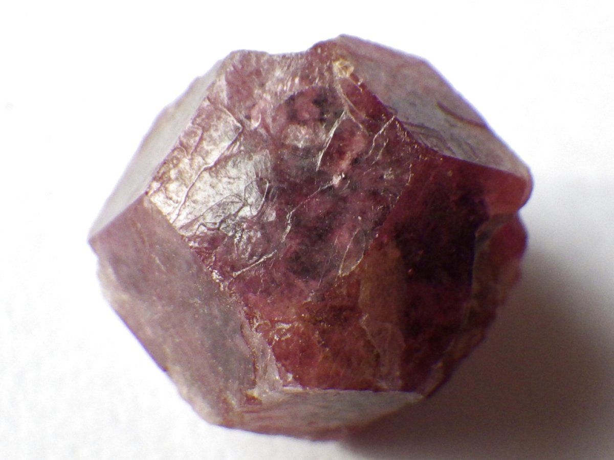 画像2: ラズベリーガーネットＦ (2)