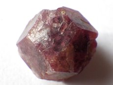 画像2: ラズベリーガーネットＦ (2)