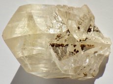 画像3: カナダ産ジプサムＤ (3)