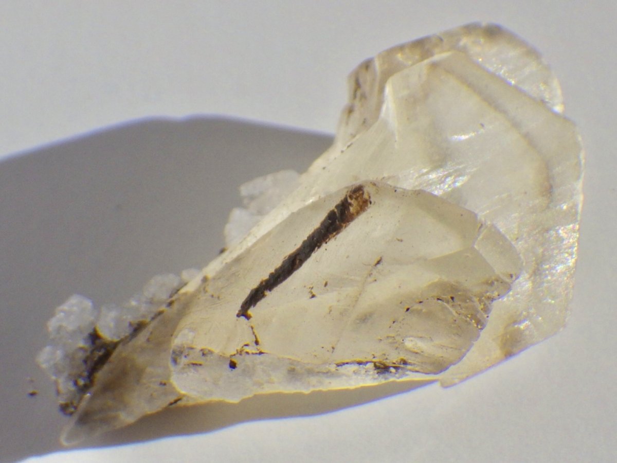 画像3: カナダ産ジプサムＢ (3)