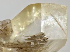 画像5: カナダ産ジプサムＤ (5)