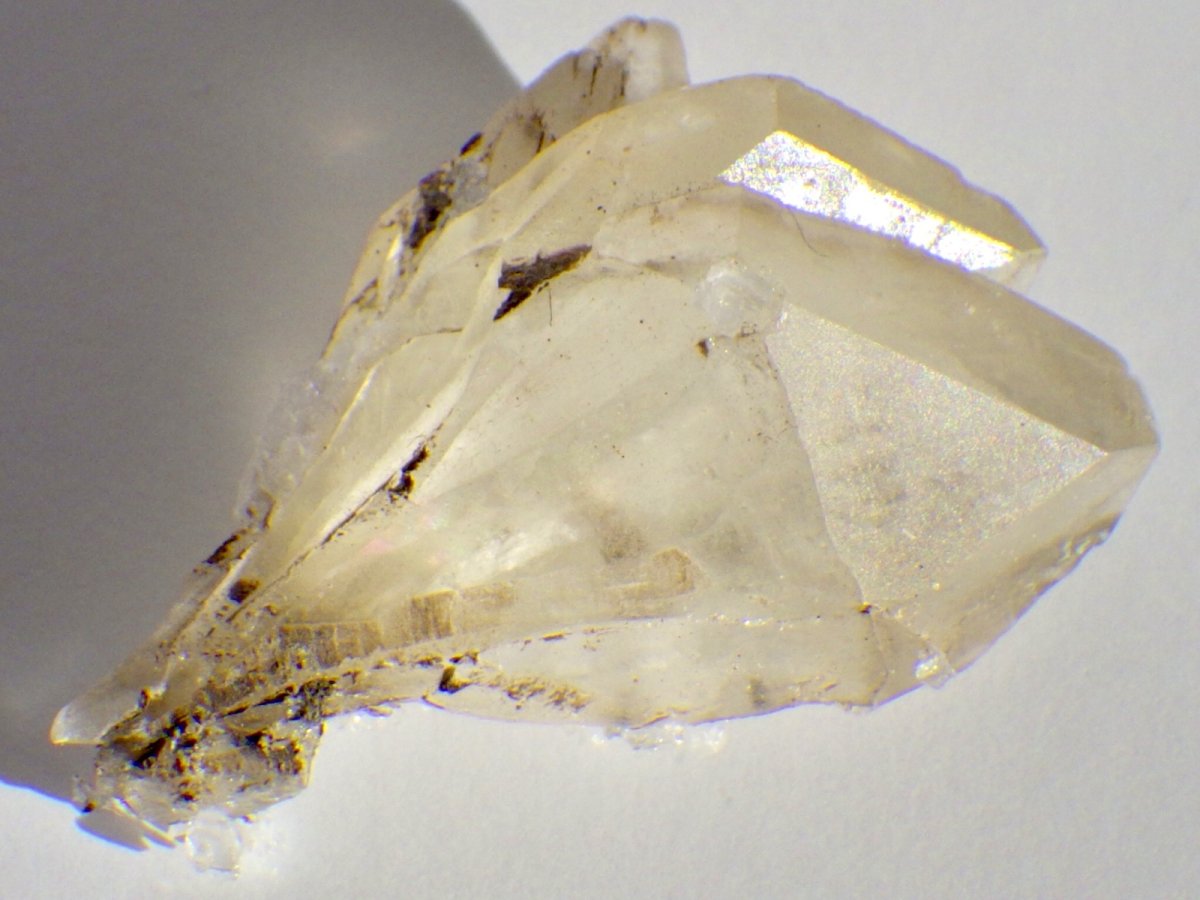 画像1: カナダ産ジプサムＢ (1)