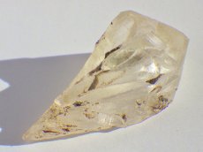 画像1: カナダ産ジプサムＡ (1)