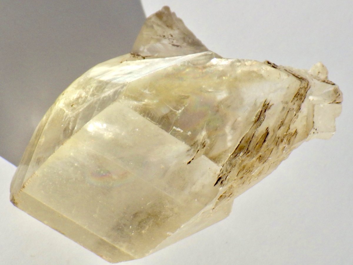 画像2: カナダ産ジプサムＤ (2)