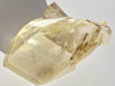 画像2: カナダ産ジプサムＤ (2)