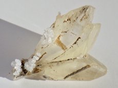 画像2: カナダ産ジプサムＢ (2)