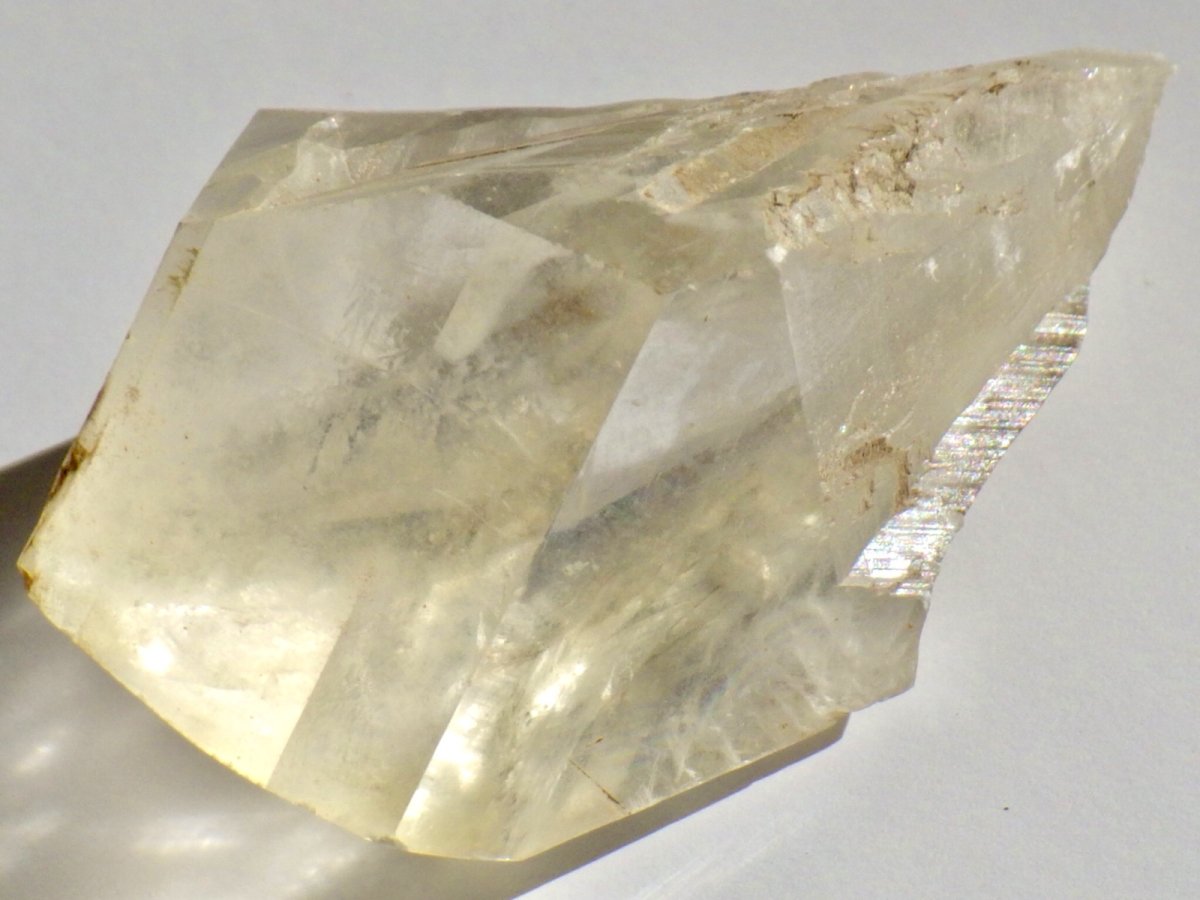 画像1: カナダ産ジプサムＣ (1)