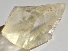 画像1: カナダ産ジプサムＣ (1)