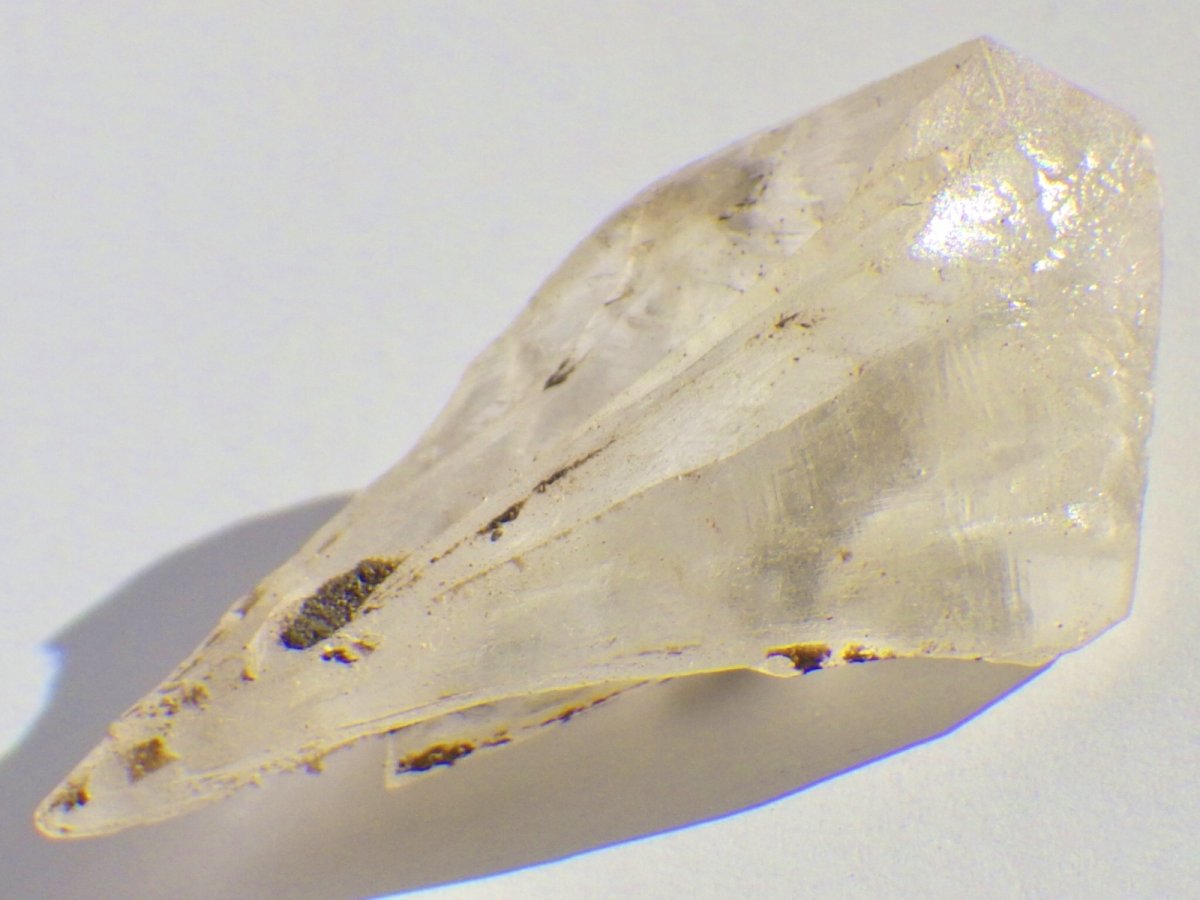 画像3: カナダ産ジプサムＡ (3)