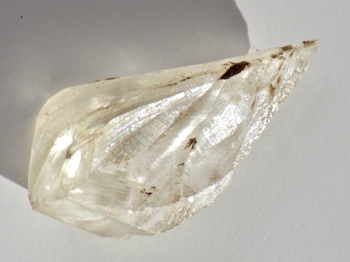 画像2: カナダ産ジプサムＡ (2)