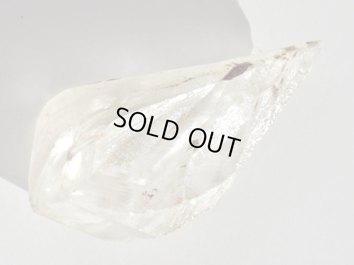 画像2: カナダ産ジプサムＡ (2)