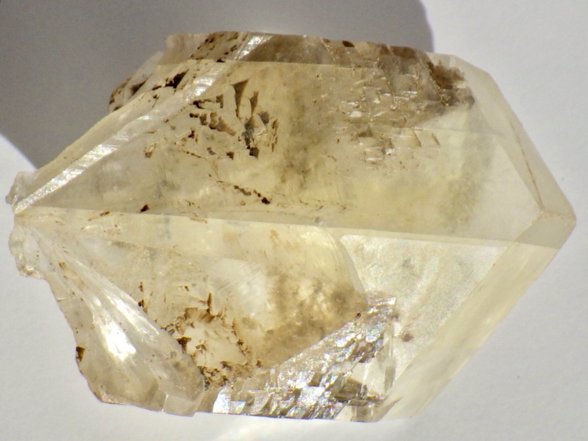 画像1: カナダ産ジプサムＤ (1)