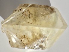 画像1: カナダ産ジプサムＤ (1)