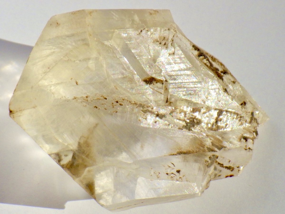 画像3: カナダ産ジプサムＣ (3)